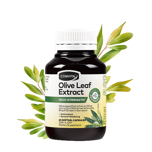 Comvita Olive Leaf Extract High Strength Capsules - 60 Capsules                    